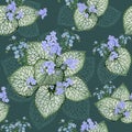 Beautiful openwork brunnera leaves and charming forget-me-nots on a green background.